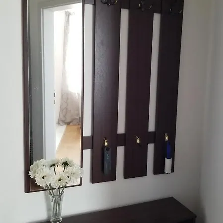 1-zimmer In Der Naehe Vom Petersberg Erfurt